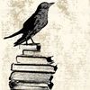 curious_raven